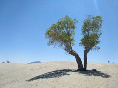 ​新疆图木舒克市美景欣赏