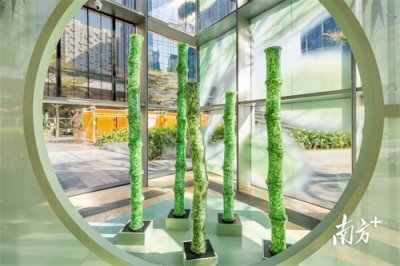 ​蛇年新春，来广州太古汇邂逅“白蛇”传说