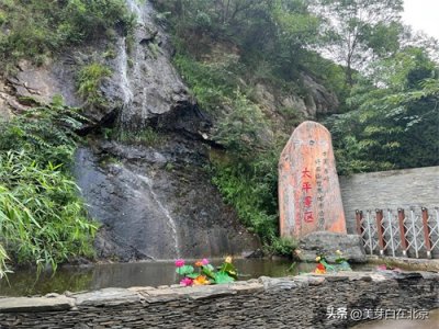 ​盛夏避暑好去处，大秦岭太平峪森林公园，有美景有美食