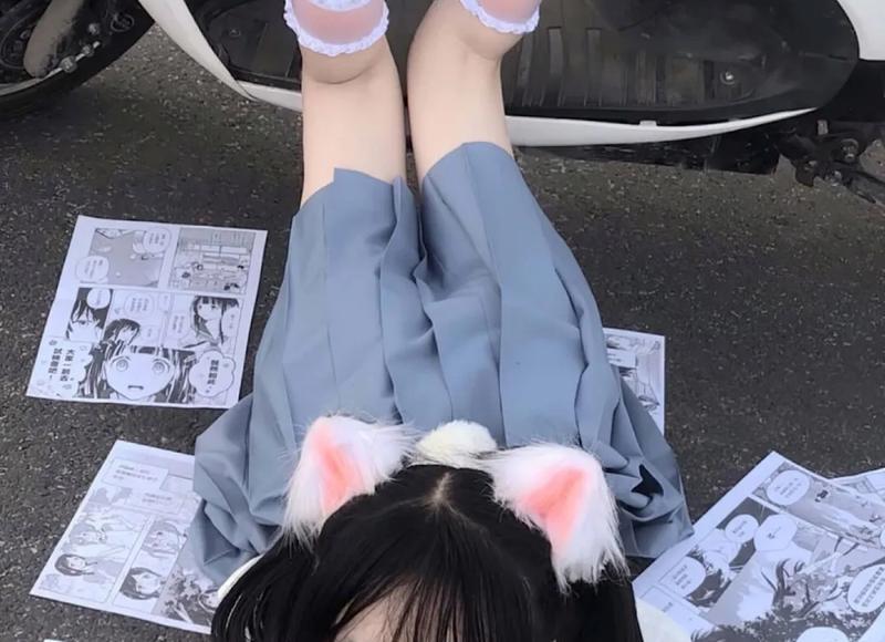 秦国历代国君及姓名短介绍？秦国历代国君及王后及姓名