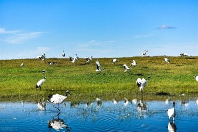 黑龙江齐齐哈尔旅游景点推荐，最值得打卡的4个齐齐哈尔旅游景点