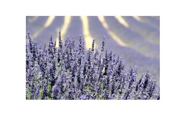 瘦腰健身舞抖音案牍(抖音健身舞蹈视频大全瘦腰) 瘦腰健身舞抖音案牍(抖音健身舞蹈视频大全瘦腰)