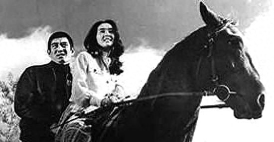 为什么那么多中国人喜欢《追捕》中的真优美日本女影星中野良子