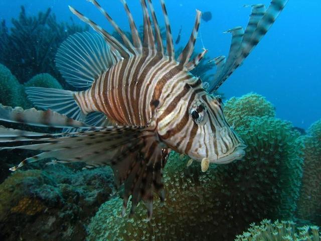 这里就是马来西亚的热浪岛