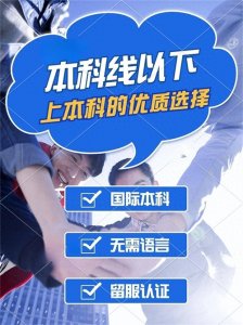 ​文化课成绩低于艺术类提档线，还有机会被本科录取吗？