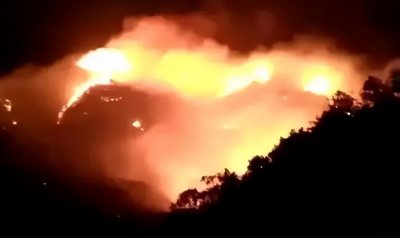 ​森林防火，重在预防！这些森林消防安全知识要掌握