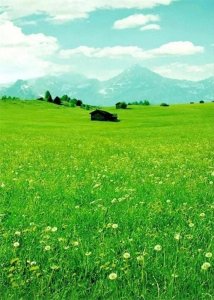 ​最新！邢台初中排名附前十名名单排行