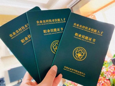 ​农艺师资格证怎么考