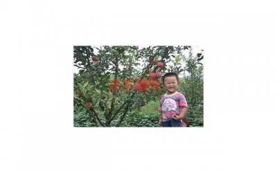 ​脸上有这六种“痕迹”的人，可能暗藏玄机，交往需谨慎