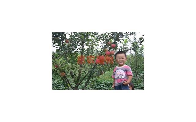 脸上有这六种“痕迹”的人,可能暗藏玄机,交往需谨慎 脸上有这六种“痕迹”的人,可能暗藏玄机,交往需谨慎