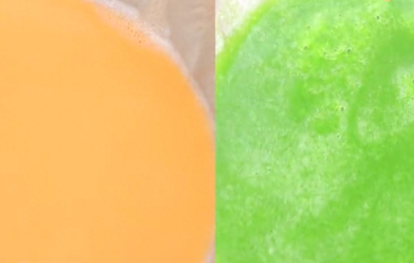 这才是蒸蛋的正确做法,营养翻倍,嫩滑不破有弹性,特别适合孩子